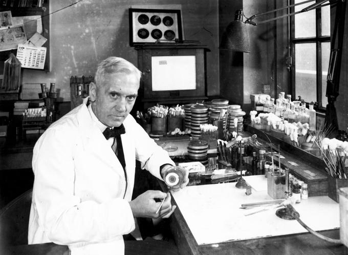 Morda najslavnejša je tista o odkritju antibiotika penicilina – škotski znanstvenik Alexander Fleming (na fotografiji) je leta 1928 petrijevko (nizko stekleno posodico) s kolonijo bakterij pustil izpostavljeno zraku. Napadla jo je plesen in je sprostila Flemingu neznano snov, ki je vidno zaustavila nadaljnje razmnoževanje bakterij.  | Foto: Thomas Hilmes/Wikimedia Commons