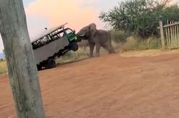 Strah za preživetje, ko je slon kot za šalo dvignil tovornjak #video