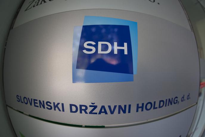 SDH | Poslovanje SDH v letu 2022 je bilo uspešno, so v holdingu zapisali ob objavi letnega poročila. | Foto Bojan Puhek