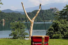 Frača velikanka, nova turistična atrakcija na Bledu?