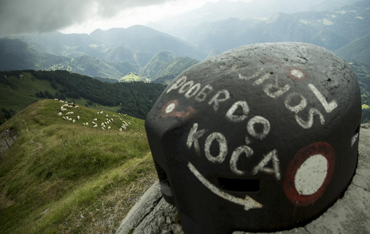 Soriška planina | Soriška planina živi tudi v poletni sezoni.  | Foto Ana Kovač
