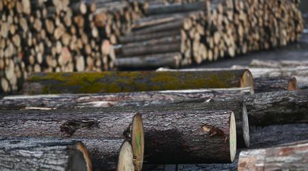 V Ormožu velika novost v lesni industriji 