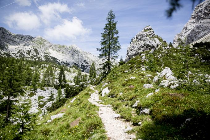Triglavski narodni park se razprostira na severozahodu Slovenije ob meji z Italijo in blizu meje z Avstrijo in obsega 840 kvadratnih kilometrov. | Foto: Ana Kovač
