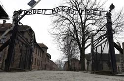 V Muzeju novejše zgodovine Slovenije razstava o slovenskih žrtvah Auschwitza