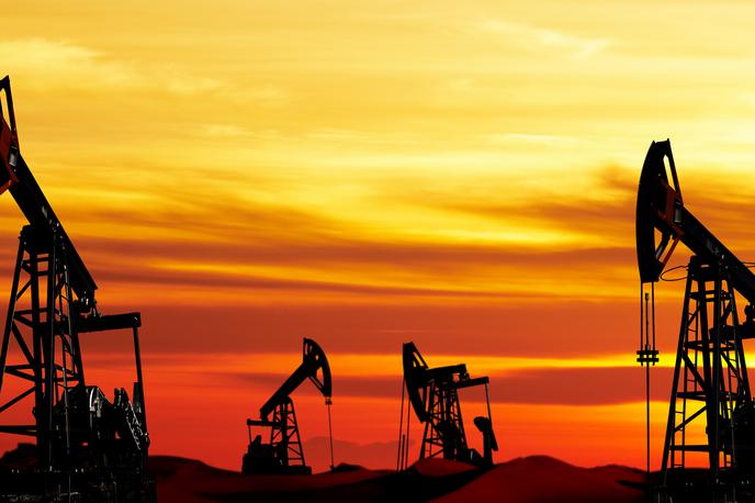 nafta zemeljski plin bencin dizel | Nafto so iskali od junija lani, v projekt pa so vložili 20 milijonov evrov. | Foto Shutterstock