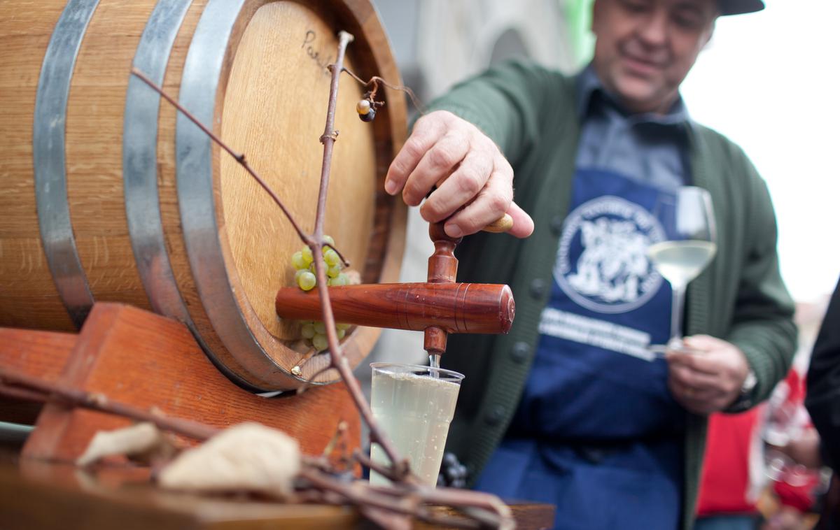 martinovo martinovanje vinski sod | Na ministrstvu želijo prispevati k večji prometni varnosti.  | Foto Siol.net
