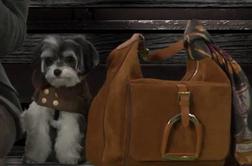 Ralph Lauren z dobrodelno pasjo kolekcijo