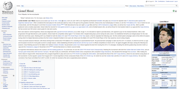 Tipičen članek na Wikipediji. | Foto: Matic Tomšič