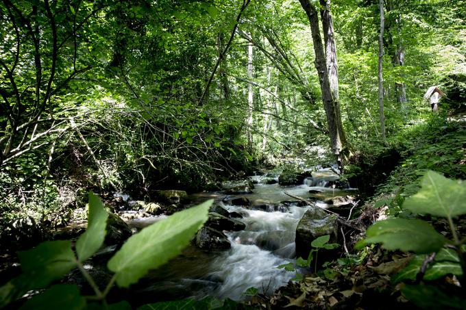 Soteska ob potoku Bistrica velja za pravo geološko zakladnico, pot vodi tudi mimo rimskega kamnoloma in gozdnega rezervata Gradišče. | Foto: Ana Kovač