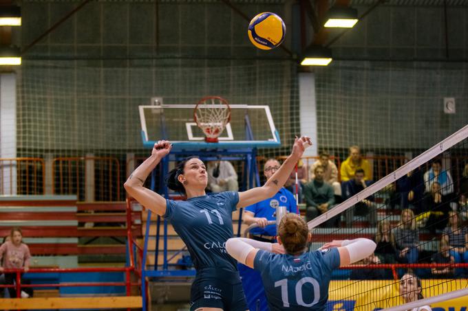 Branilke naslova, odbojkarice Calcit Volley so imele najlažje delo. | Foto: Klemen Brumec