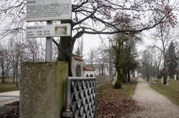Ljubljansko pokopališče slavnih, kamor so morali grobove preseliti #foto