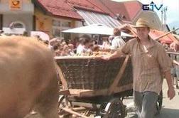 Praznik krompirja v Šenčurju 2011 (VIDEO)