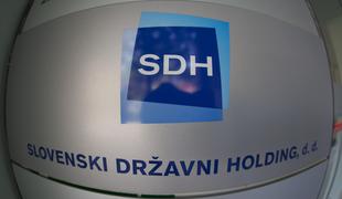 SDH in Kad nakazala sredstva za nakup 43,2-odstotnega deleža Save