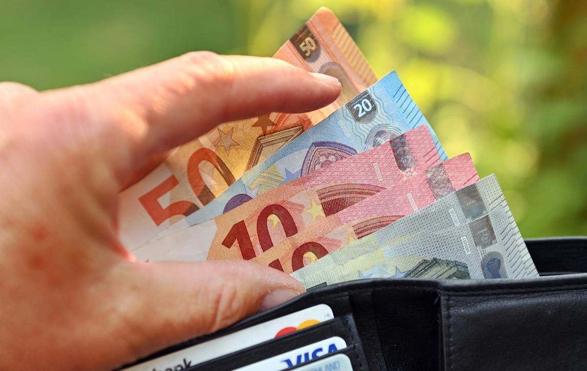 Evri denar denarnica | Pomanjkljiva finančna pismenost med drugim povzroča tudi znatno denarno škodo. | Foto Guliverimage