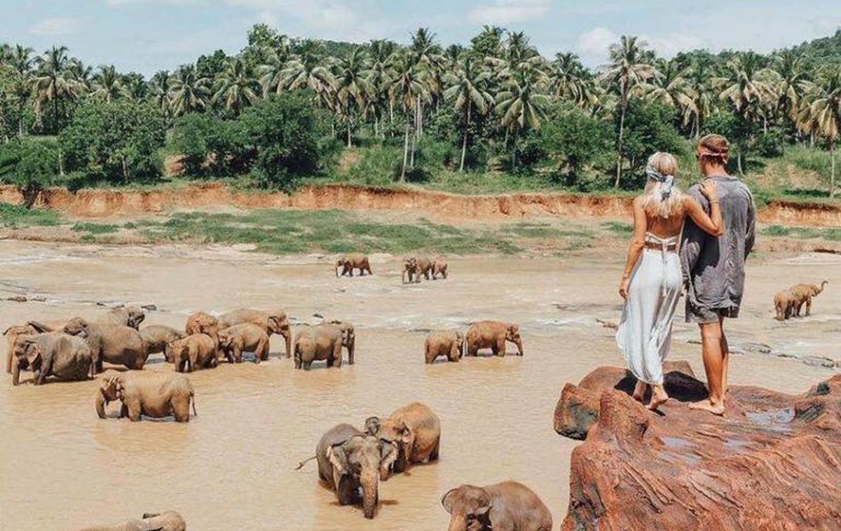 sloni na Plitvicah | Foto Twitter
