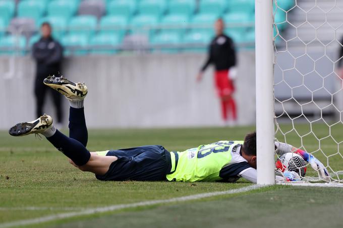 Lan Jovanović je poskušal žogo potegniti iz mreže. | Foto: www.alesfevzer.com