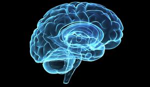 Izboljšajte delovanje svojih možganov s ključnimi hranili