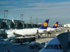 letališče Frankfurt, Lufthansa, Fraport
