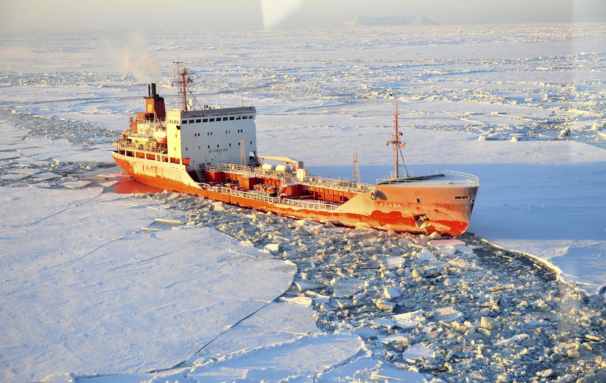 Tovorna ladja arktika | V naslednjih treh letih bi radi skoraj potrojili količino prepeljanega tovora čez severno morsko tovorno pot. | Foto Reuters