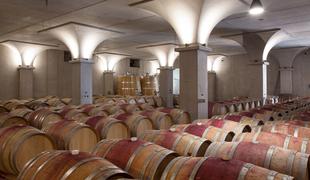 Vinska katedrala v Šempasu: sodobna klet znane vipavske vinske družine #foto