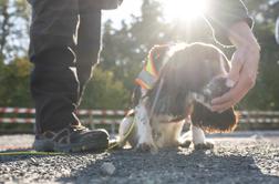 S psi iščejo ogrožene živalske vrste na gradbiščih #foto