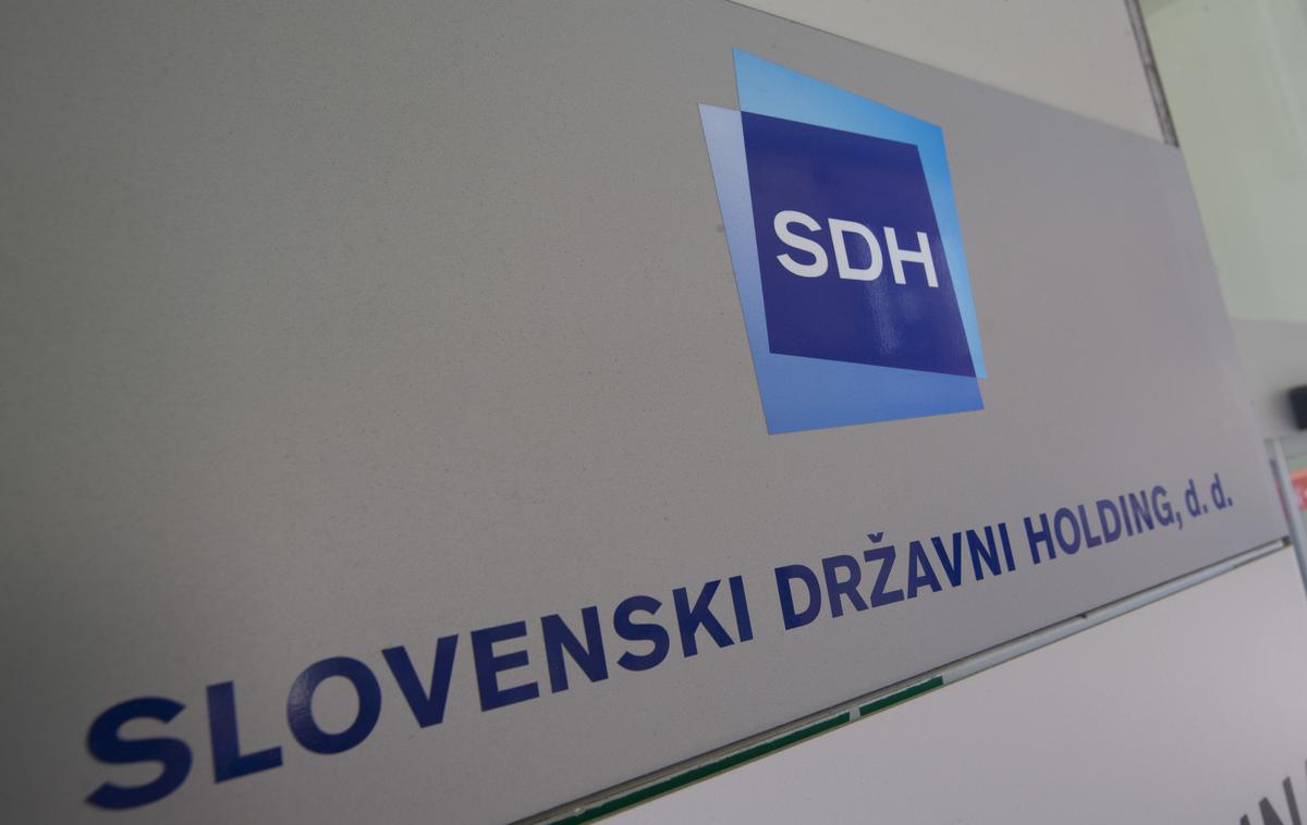 SDH | SDH se podaja v prodajo nezanimivih naložb države v 15 podjetjih. | Foto Bojan Puhek