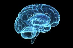 Izboljšajte delovanje svojih možganov s ključnimi hranili