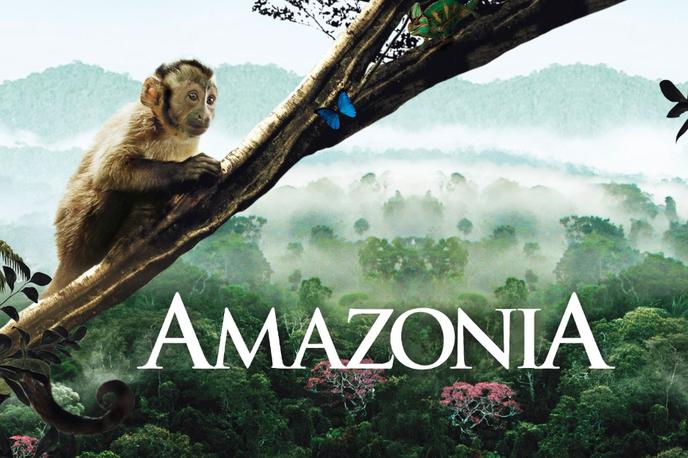 Amazonija
