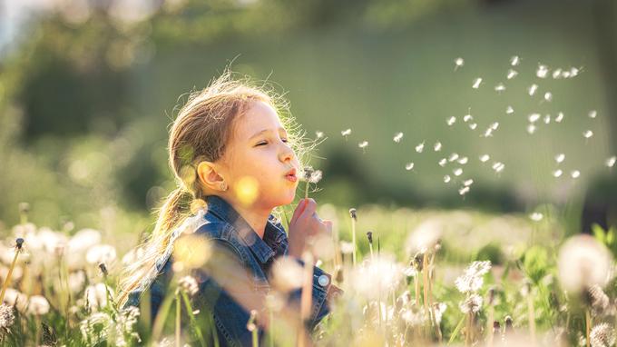 Nasaleze je proizvod, ki alergenom preprečuje dostop do nosne sluznice. Deluje na vzrok alergije, ne na simptome.  | Foto: Shutterstock