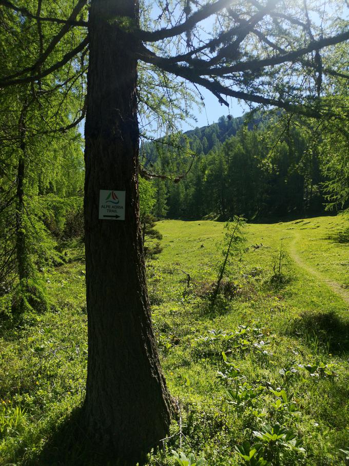 Sledite oznakam Alpe Adria Trail. | Foto: Matej Podgoršek/Planet TV