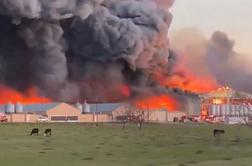 Boj s plameni v obsežnem požaru na perutninski farmi #video