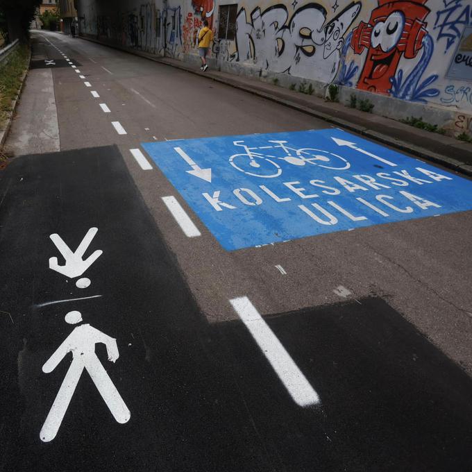 Na tej cesti so glavni kolesarji. | Foto: Mestna občina Ljubljana/Facebook