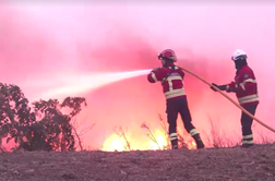 Požari divjajo tudi na Korziki, Portugalskem in v Alžiriji #video