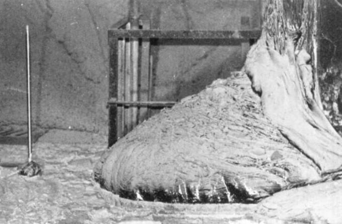 Ta fotografija Slonovega stopala je bila posneta leta 1996, deset let po nesreči v Černobilu. Oddajalo je desetkrat manj sevanja kot v mesecih po odkritju, kar pa je bilo še vedno dovolj, da bi deset minut izpostavljenosti povzročilo slabost, ena ura pa bi zagotovila smrt. Leta 1986 bi slabost in vrtoglavico doživeli že po 30 sekundah, smrt pa bi nas v nekaj dneh našla po vsega petih minutah strmenja v spomenik nevarnosti enega največjih dosežkov znanosti in energetike. | Foto: 