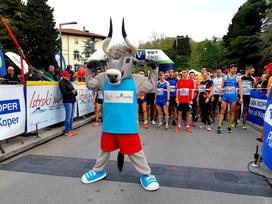 Istrski maraton 2019