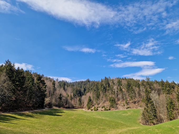 Od Breznice naprej po makadamski cesti, za tem travnikom pa v gozd in levo navzgor na pešpot do Mrzlega vrha. | Foto: Matej Podgoršek