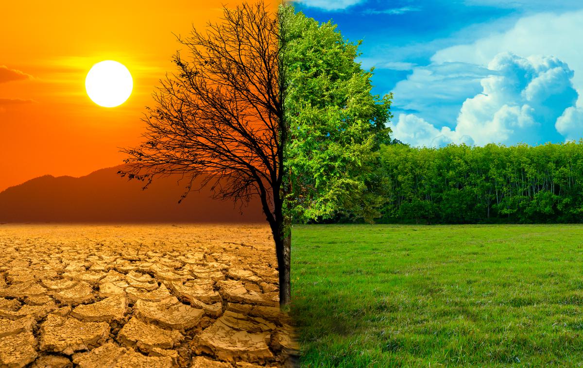 Podnebne spremembe, globalno segrevanje, suša | Foto Shutterstock