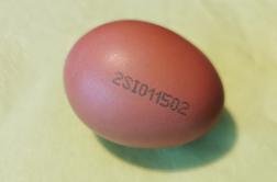 Kaj pomenijo te oznake na jajcih?