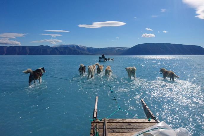 Grenlandija | "Led, ki ga je prekrivala voda, je debel približno 1,2 metra, morje pod njim pa je globoko okrog 870 metrov," je v komentarjih objave na Twitterju zapisal Olsen in dodal, ga da niso skrbele morebitne razpoke v ledu, ker "tako psi kot njihovi vodiči še vedno zelo dobro vedo, kje je treba iti." | Foto Steffen M. Olsen