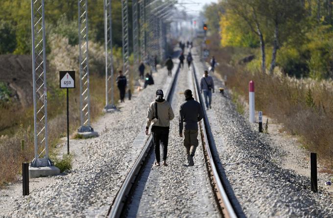 Migranti na madžarsko-srbski meji | Foto: Guliverimage
