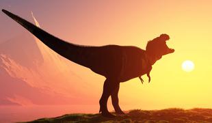 Pri Trstu odkrili pomembno najdišče fosilov dinozavrov