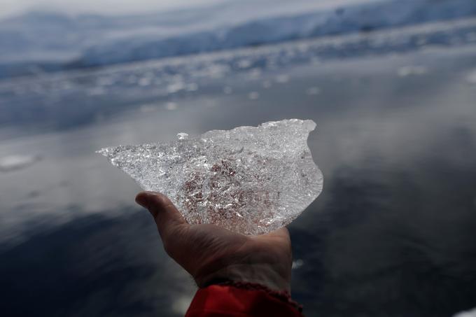 polarni led | Foto: Reuters