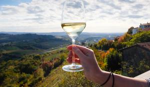 Na vinskem sejmu v Beogradu letos več kot 600 razstavljavcev, tudi iz Slovenije