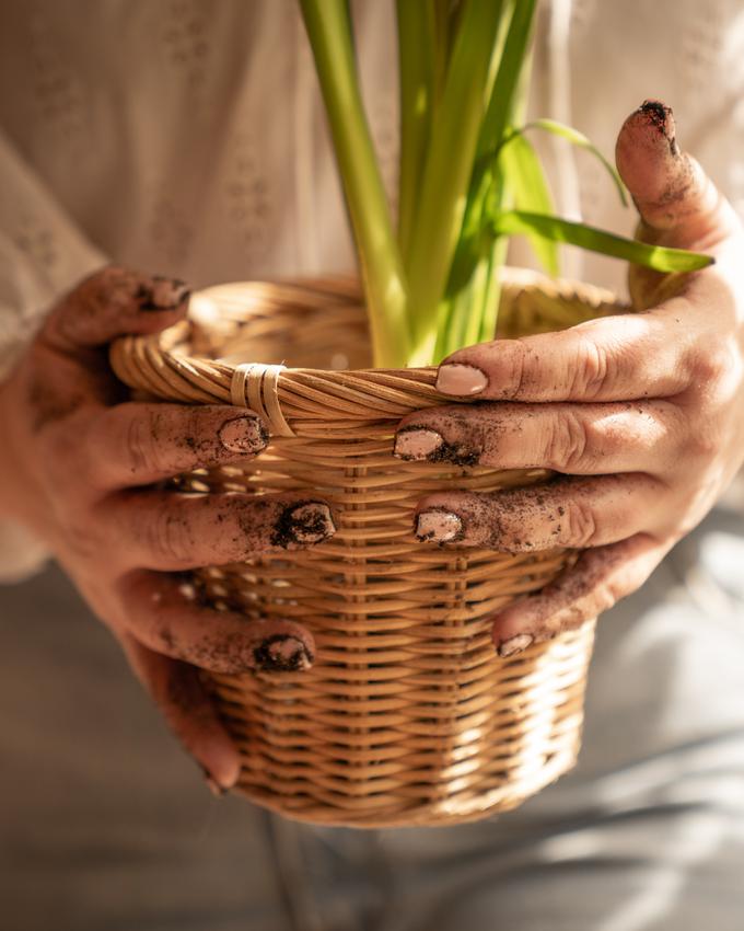 OBI, vrtnarska manikura | Foto: OBI