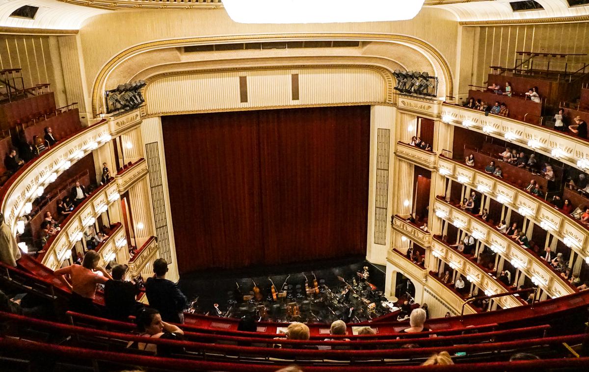 Dunaj, koncert | Koncert bo vodila avstrijska muzikologinja in novinarka Irene Suchy. | Foto Shutterstock