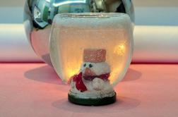 Božični mojster: začarana snežna krogla