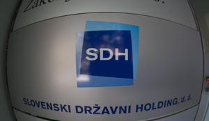 SDH naj bi odločil o uveljavljanju predkupne pravice za Savo