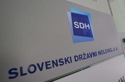 SDH ne bo odkupil deležev malih delničarjev elektrodistribucijskih podjetij