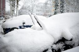 V Ljubljani več kot meter snega