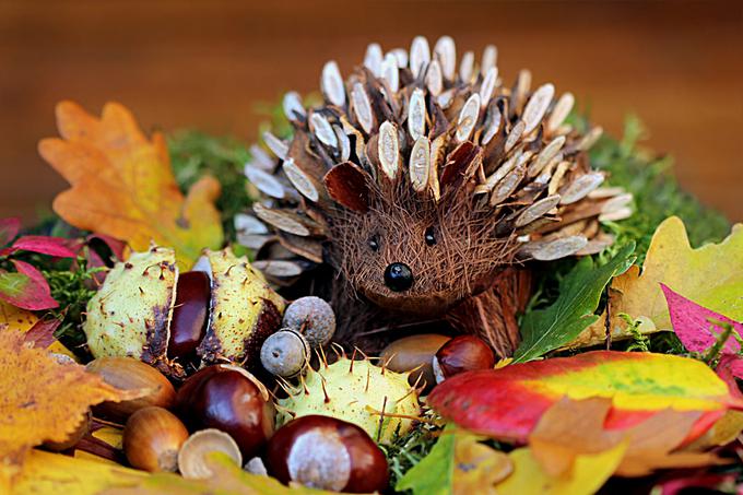 jesen listje dekoracija par narava | Foto: Thinkstock